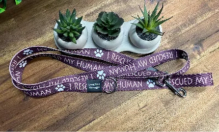 Adult Dog Fancy I Rescued My Human 1.5m x 25mm Lead image 0