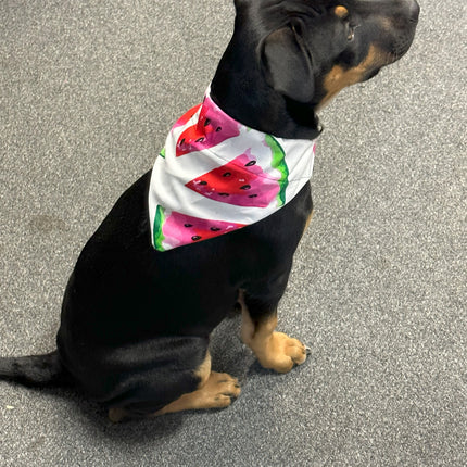 Watermelon Slices Bandana image 0