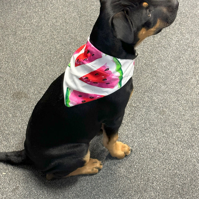 Watermelon Slices Bandana image 0