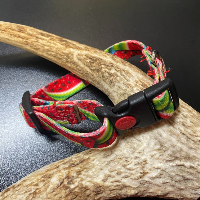 Watermelon Webbing Collar (Small/Puppy) image 0