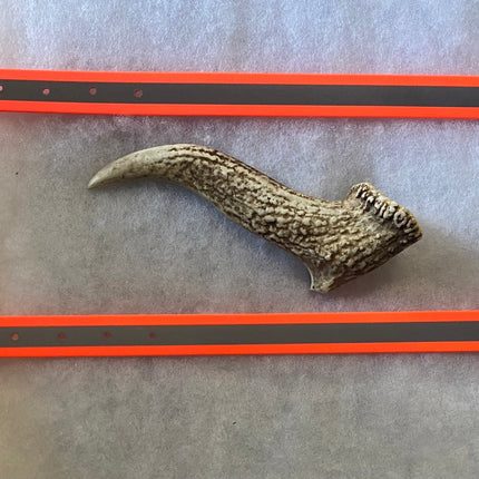 Reflective Orange Biothane Collar image 1