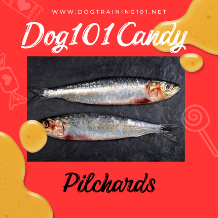 Pilchards image 0