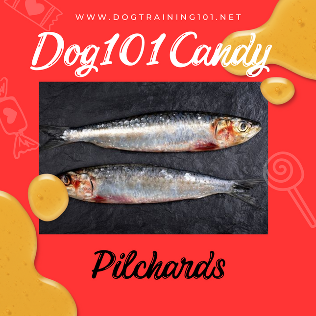 Pilchards image 0