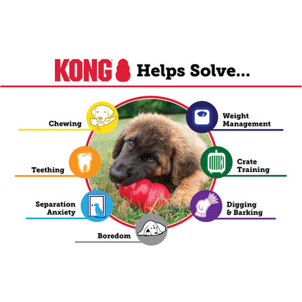 KONG® Goodie Ribbon Md image 2