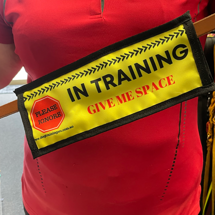 In Training - Leash Banner image 0