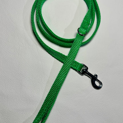 Puppy/Small Dog Thick Light Green 1.2m x 13mm Lead image 0