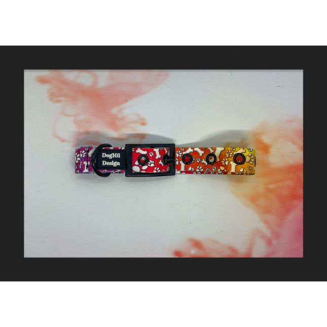 Paws and Bone Buckle Collar image 0