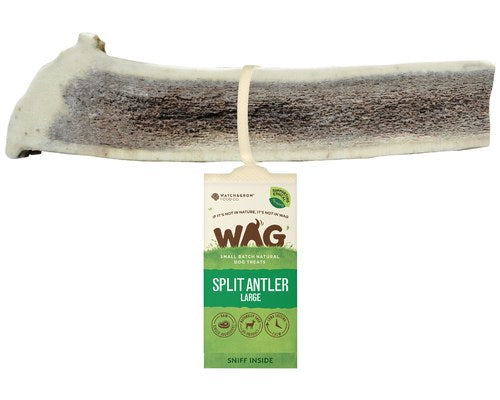 Split Antler image 0