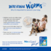 Nexgard Spectra Medium Dog - 6 Pack image 5