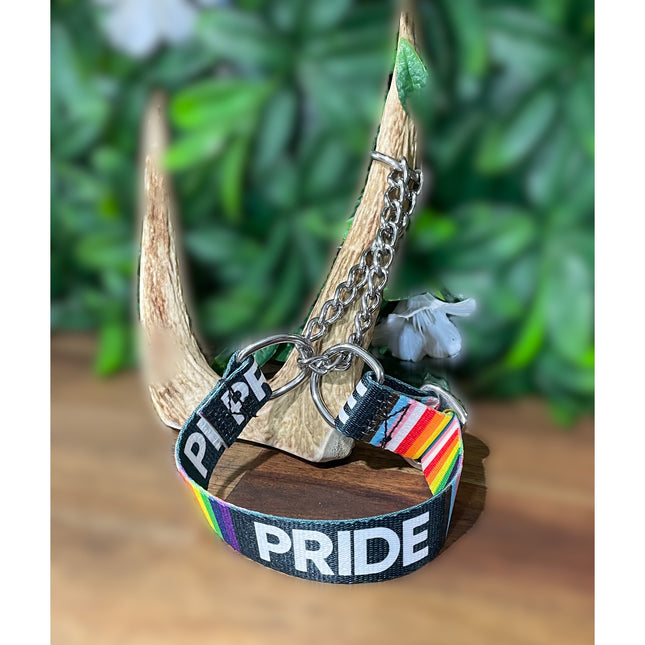 Martingale Pride Design image 0