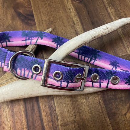 Sunset Buckle Collar image 0