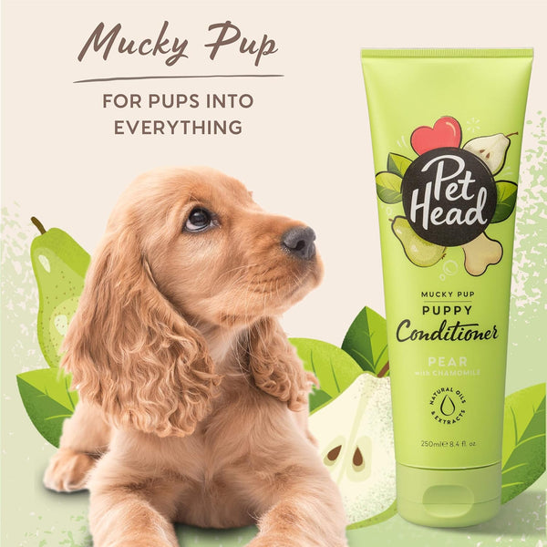 Pet Head Mucky Pup Puppy Conditioner | Pear Scent | Conditioner for Puppies image 0