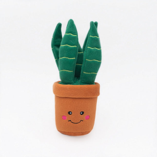 Zippy Paws Snake Plant image 0