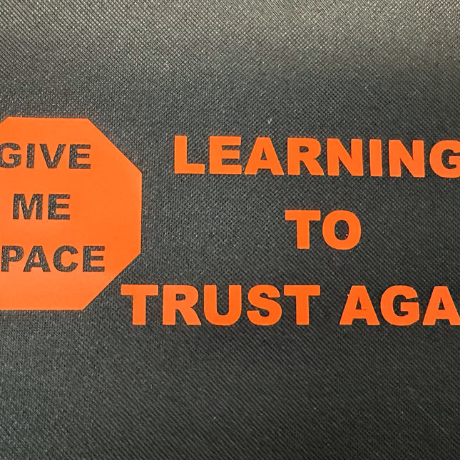 Learning to Trust Again - Vest image 1