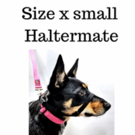 Custom X Small Blackdog Haltermate image 0