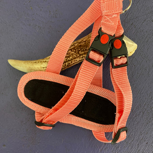 Light Pink Harness (Small) image 0