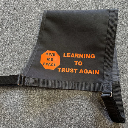 Learning to Trust Again - Vest image 0