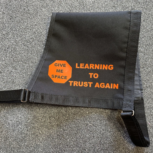 Learning to Trust Again - Vest image 0