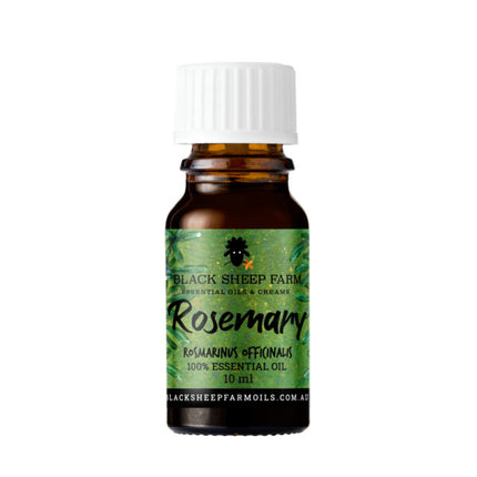 Rosemary Essential Oil 10ml image 0