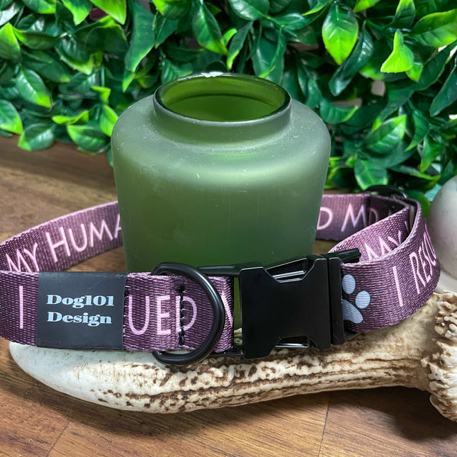 I Rescued My Human Metal Clip Collar image 1