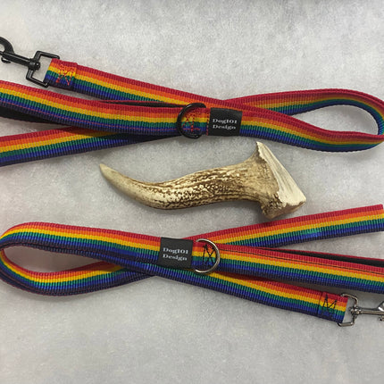 Adult Dog Premium Handle Plain Rainbow 1.5m x 25mm Lead image 0
