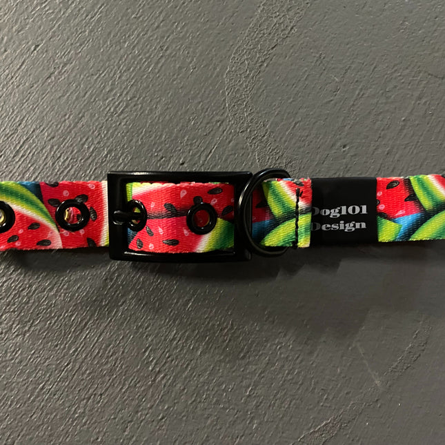 Watermelon Buckle Collar image 0