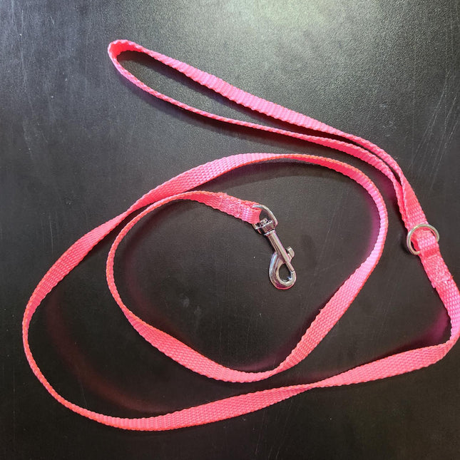 Puppy/Small Dog Plain Fluro Pink 1.2m x 10mm wide Lead image 0