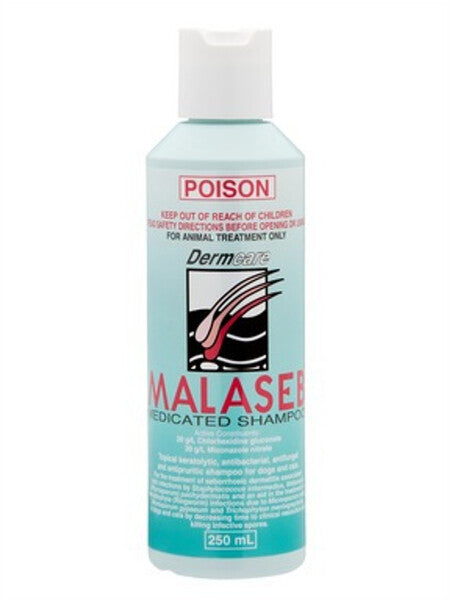 dermcare Malaseb Medicated Shampoo 250ml image 0