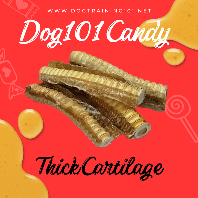 Thick Cartilage image 0