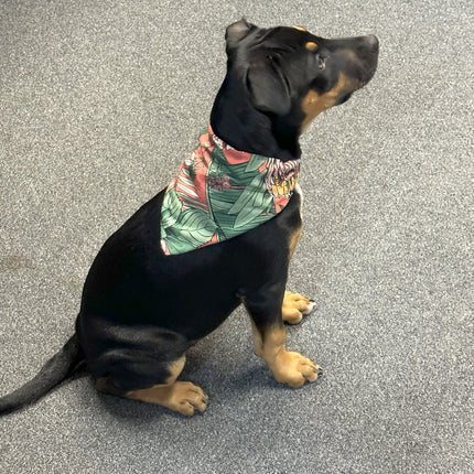 Native Aussie Plants Bandana image 0