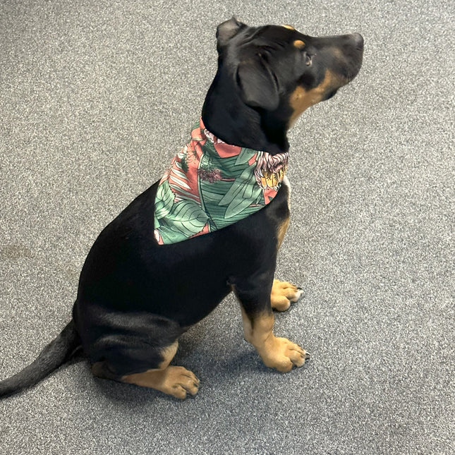 Native Aussie Plants Bandana image 0