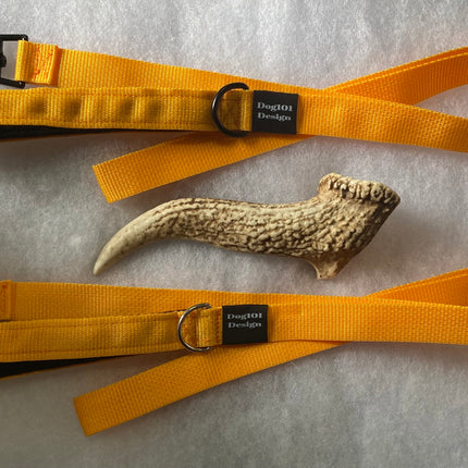 Adult Dog Premium Handle Plain Light Orange 1.5m x 25mm Lead image 0