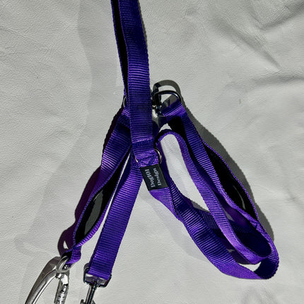Reactive Plain Purple Lead image 0