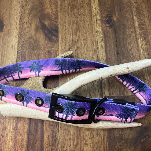 Sunset Buckle Collar image 1