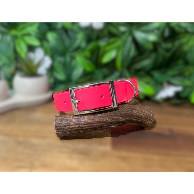 Neon Pink Biothane Collar image 0