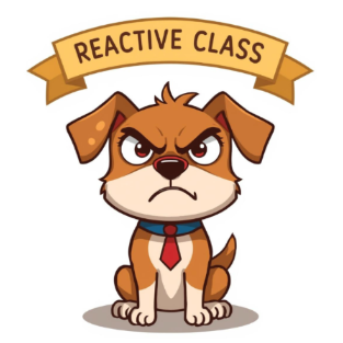 Reactive Impulse Class Description