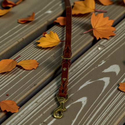 Natural Leather Lead - Double Braid