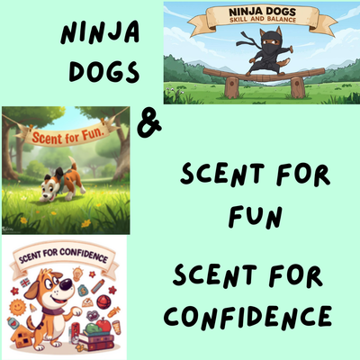 Ninja Dogs & Scent Confidence or Fun