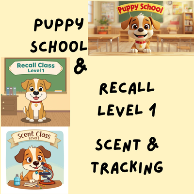 Puppy School & Recall & Scent