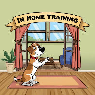 (10) In Home Training