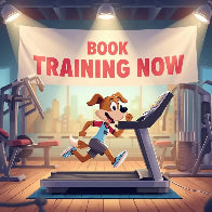 (10) All Dog Training