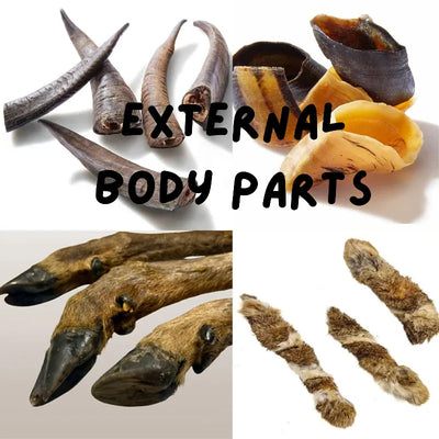 Beef Body Parts Range