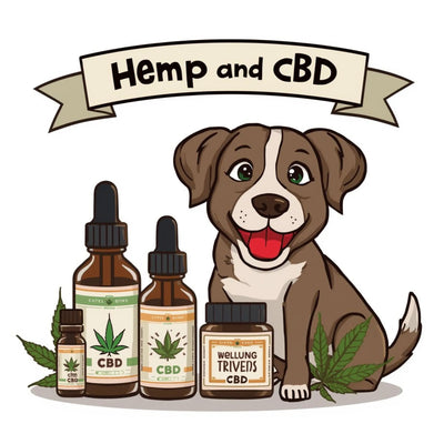 Hemp and CBD