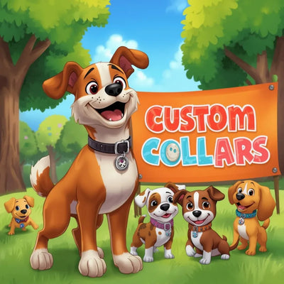 (3) Custom Made Collars