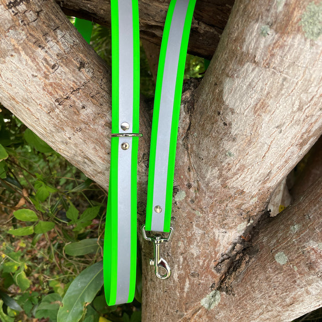 Biothane Reflective Green Lead 1.5M image 0