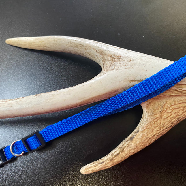 Plain Puppy Collar Dark Blue image 0