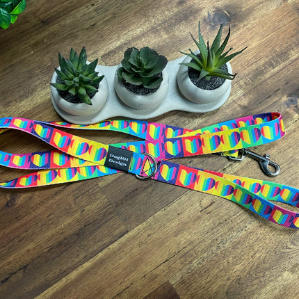 Adult Dog Fancy Rainbow Heart 1.5m x 25mm Lead  image 0
