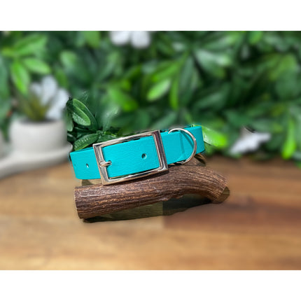 Pastel Green Biothane Collar image 0