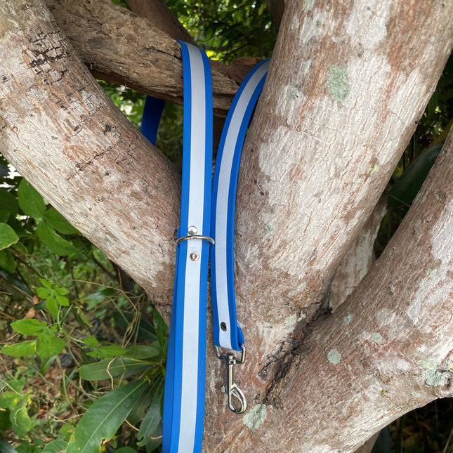 Biothane Reflective Blue Lead 1.5M image 0