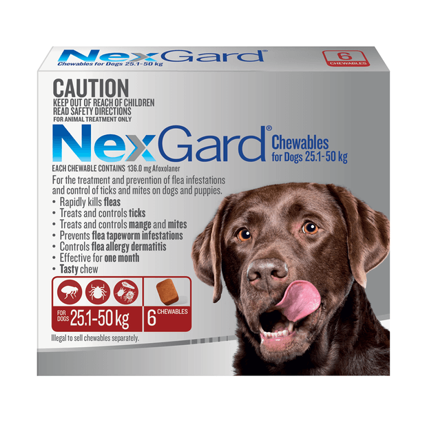 NexGard XLarge Dog image 0